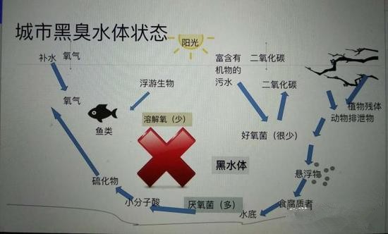 江蘇億元投資治污新技術(shù) 石墨烯能否治理黑臭水體？