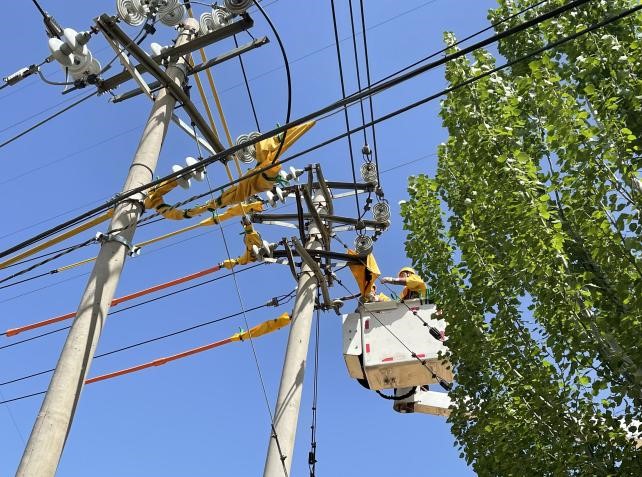帶電作業(yè)除隱患，安全供電有保障