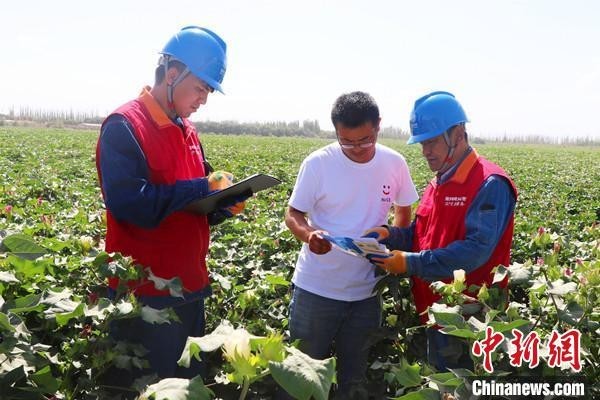 新疆啟動2023年秋糧生產(chǎn)供電服務(wù)保障專項行動