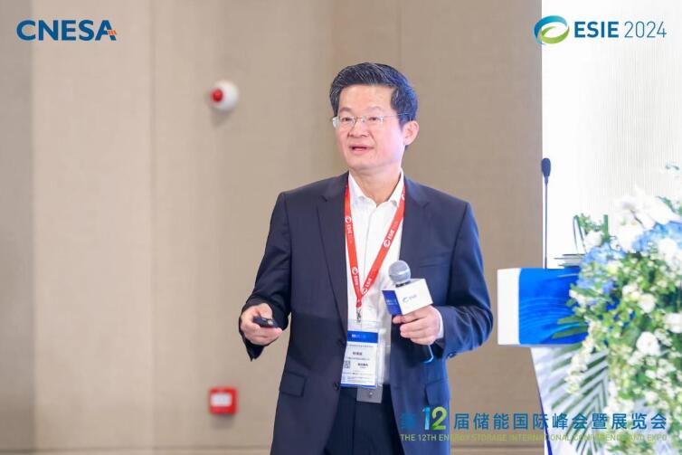林澤波：儲能企業(yè)出海不是價格競爭，而是以定制優(yōu)質(zhì)產(chǎn)品和服務(wù)實(shí)現(xiàn)可持續(xù)發(fā)展